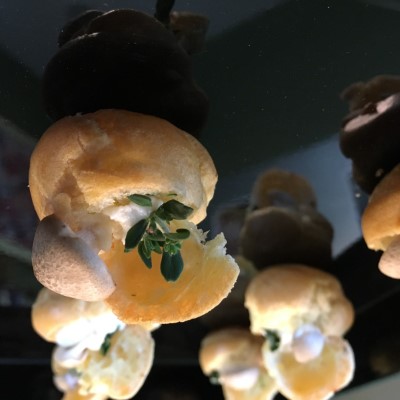 Mushroom Thyme Gourgres